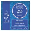 Cool Mint - Kräuterteemischung